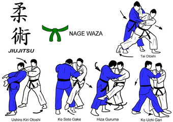 Jiu Jitsu Nage Waza 3