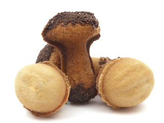 cookie mushrooms