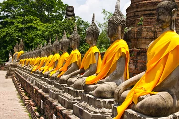 Papier Peint photo Temple Rangée de Bouddha sacré à Ayutthaya