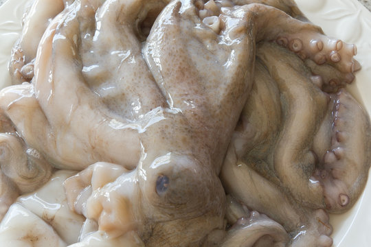 Pulpo crudo