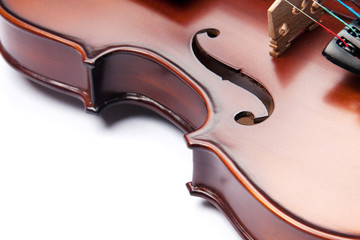 Obraz premium violin