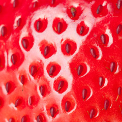macro strawberry