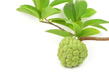 Custard Apple Isolated
