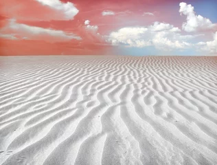 Foto op Aluminium desert landscape © Željko Radojko