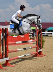 horse rider jumping