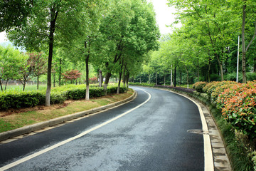 road through forest in china