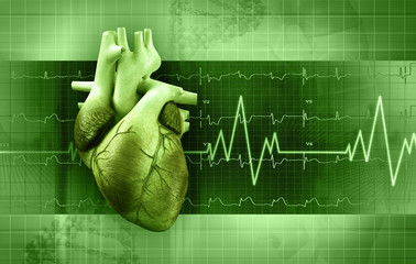 heartbeat