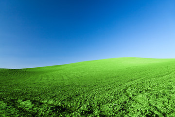 Green Horizont Landscape rock hill