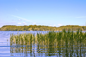 Am See © Andrej Mironov