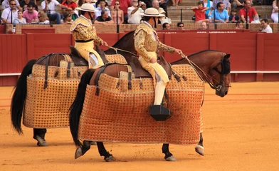 Aluminium Prints Bullfighting Corrida