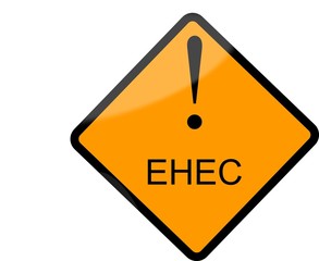 EHEC shield - obrazy, fototapety, plakaty