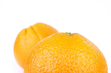 fresh orange