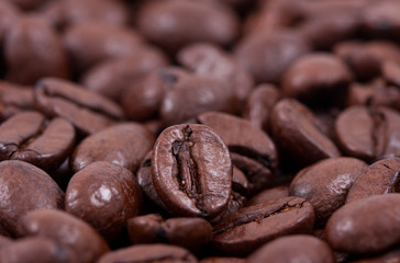 coffee  - background