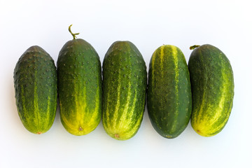Cucumber