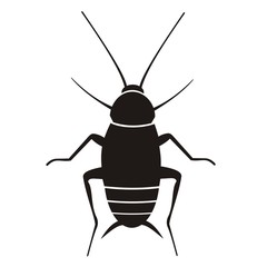 Cucaracha