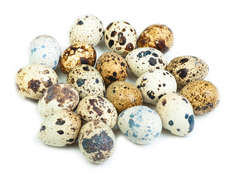 Quail eggs isolated on white the background