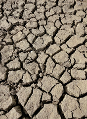 Fototapeta premium dried mud in river bed