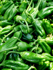pimientos de padron