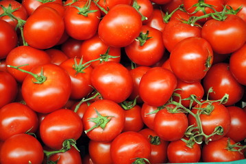 pomodori