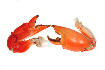 Two Cooked Crab Pincers Isolated On White Background
