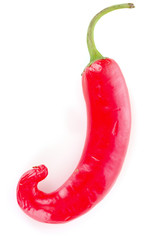 Pepper isolated on white