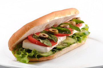 Tomato, cucumber & mint cheese Sandwich