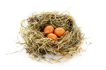 Bird nest with three eggs isolated on white.