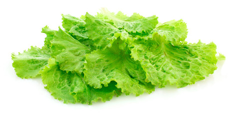 Salad leaves isolated on white