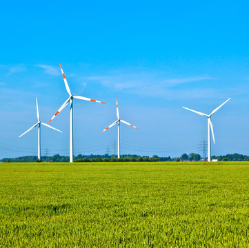Wind energy wowers standing in the field in spring