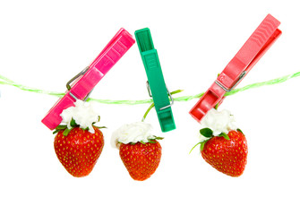 Erdbeeren