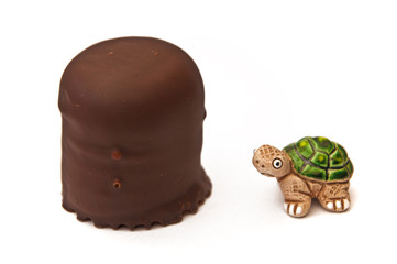 Schildkroete mit Schoko