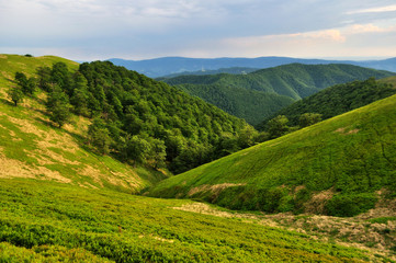 Fototapeta na wymiar Borzhava ridge slopes in Carpathians