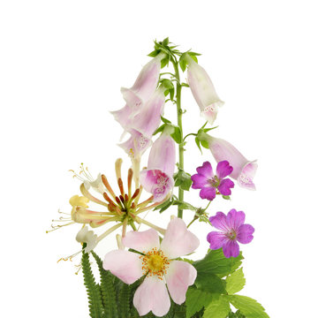 Wild flower arrangement