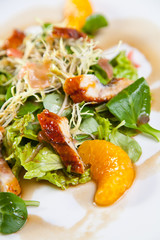 Chicken salad with mandarine and orange