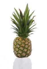 Fototapeta premium Pine apple