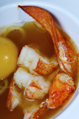 Lobster