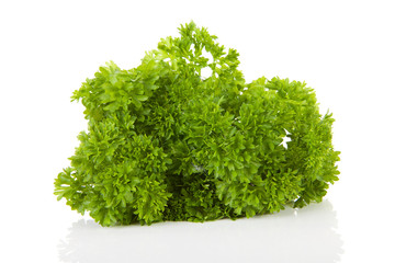 fresh parsley in closeup over white background