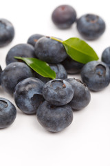 fresh blueberries