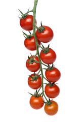 juicy red tomatoes