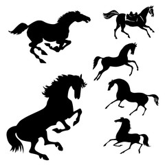 set of the horses on white background