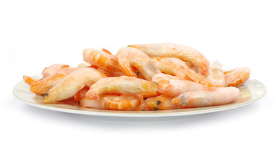 shrimp