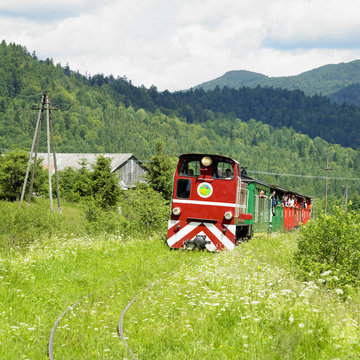 Fototapeta Bieszczadska wood railway, Dolzyca - Przyslup, Poland