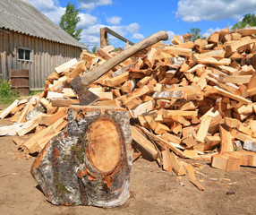 axe in log