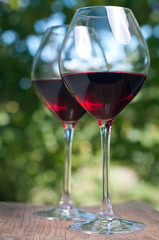 Two wine glasses in the garden