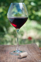Wineglass with cork