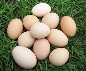 Куриные яйца в гнезде из травы