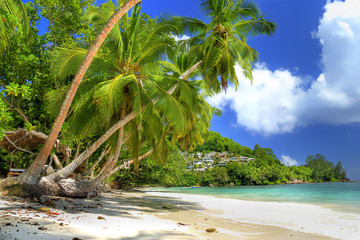 beautiful Seychelles
