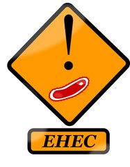 Escherichia coli - EHEC - obrazy, fototapety, plakaty