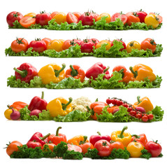 set of vegetable background