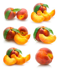 set of peach photos